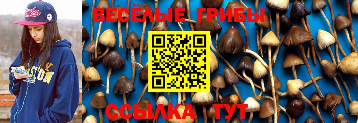Мефедрон  Петропавловск-Камчатский  МЕФ кристаллы  Вход с VPN  ЭКСТАЗИ  ГАШИШ  Вейп ТГК  Cocaine  Канабис 